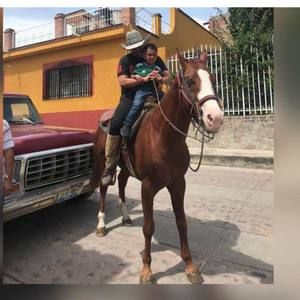 Meet your Posher, Jesús eduardo